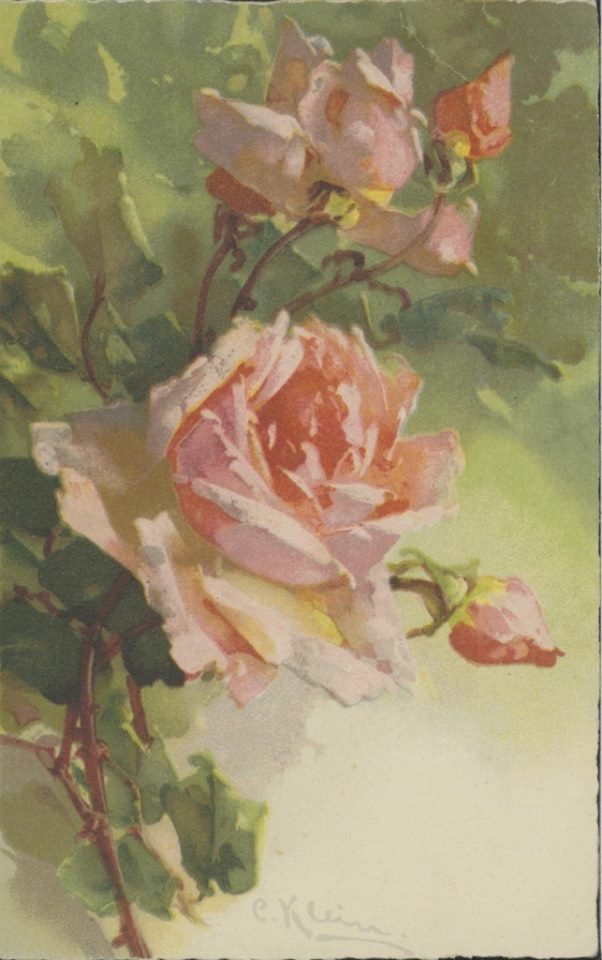 Катарина Кляйн. Розовый сад.