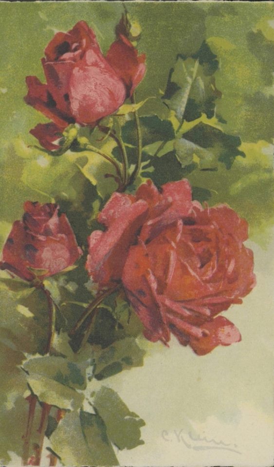 Катарина Кляйн. Розы в саду.