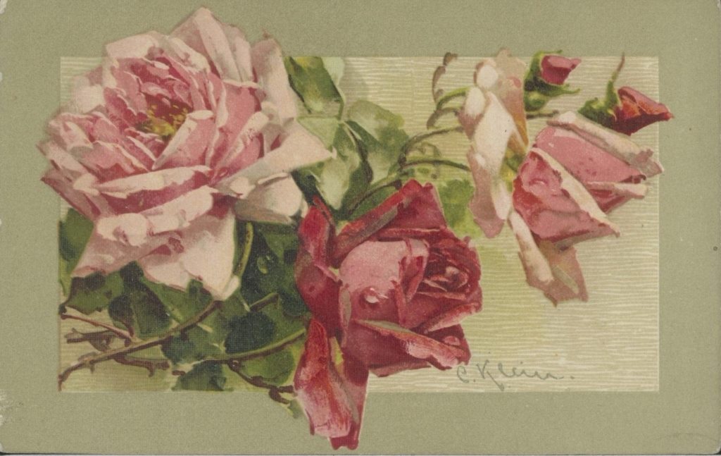 Катарина Кляйн. Розы на открытке.