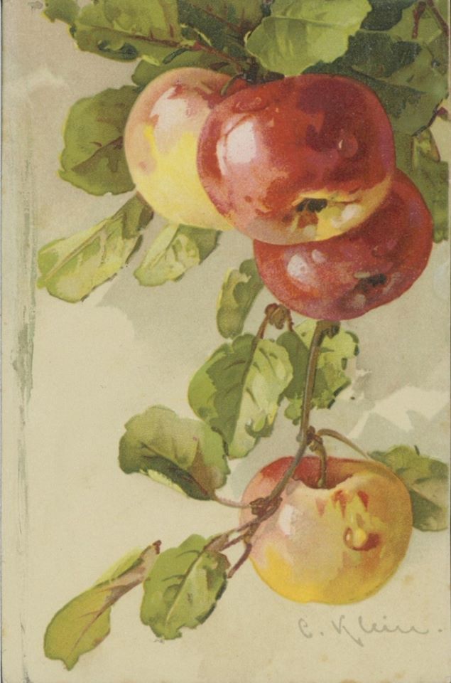 Катарина Кляйн. Яблоки.