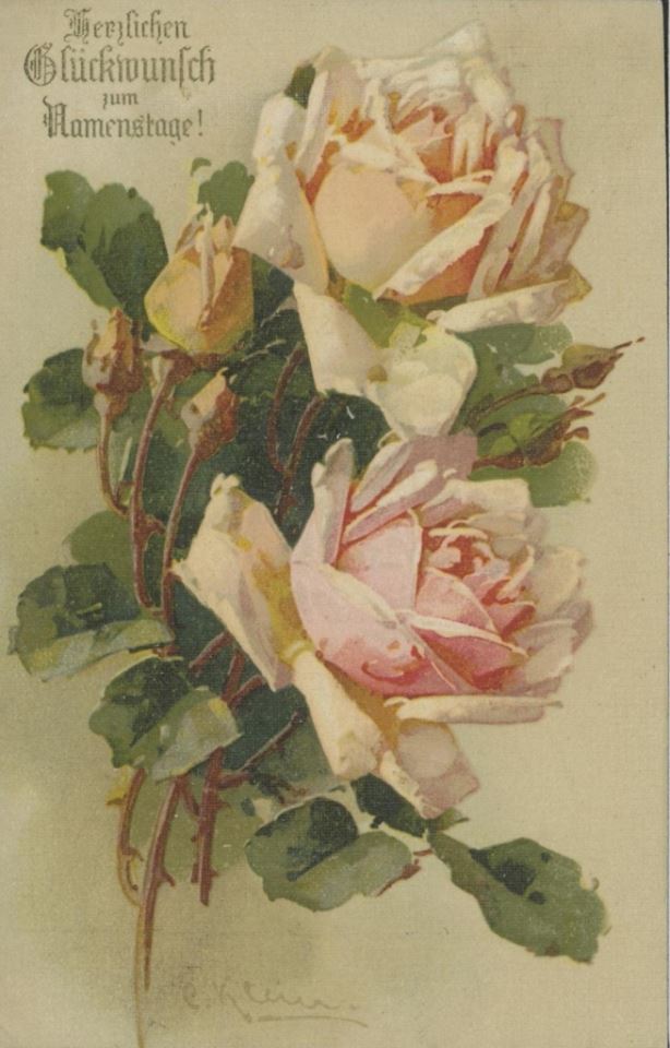 Катарина Кляйн. Нежные розы