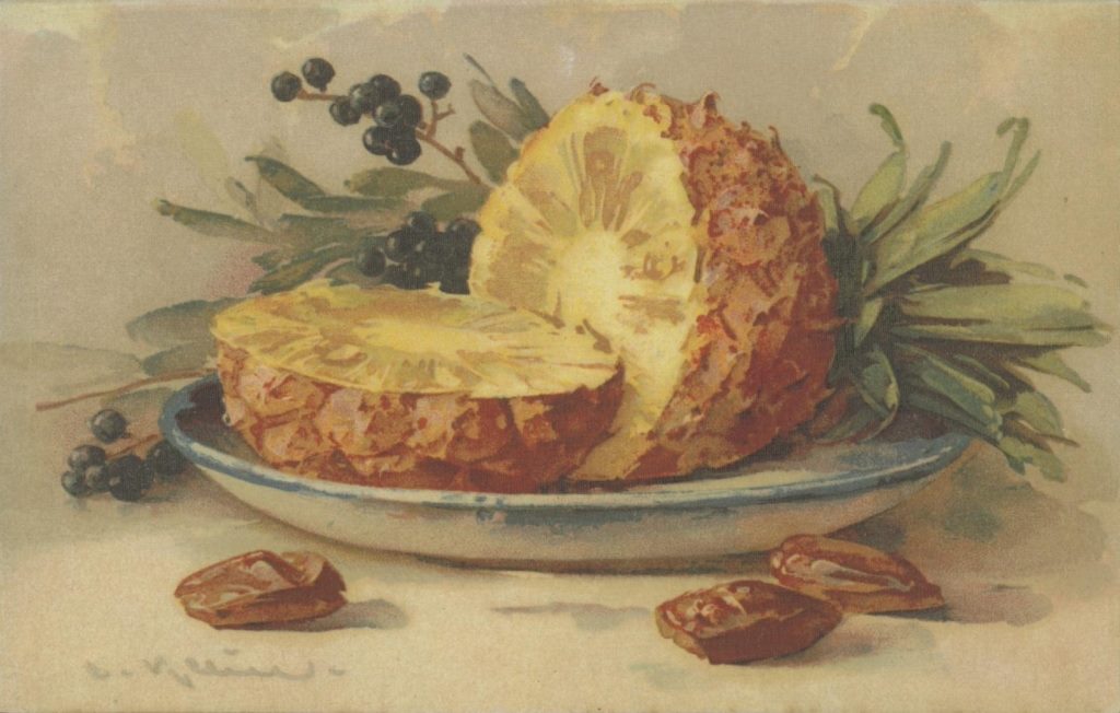 Катарина Кляйн. Блюдо с ананасом.