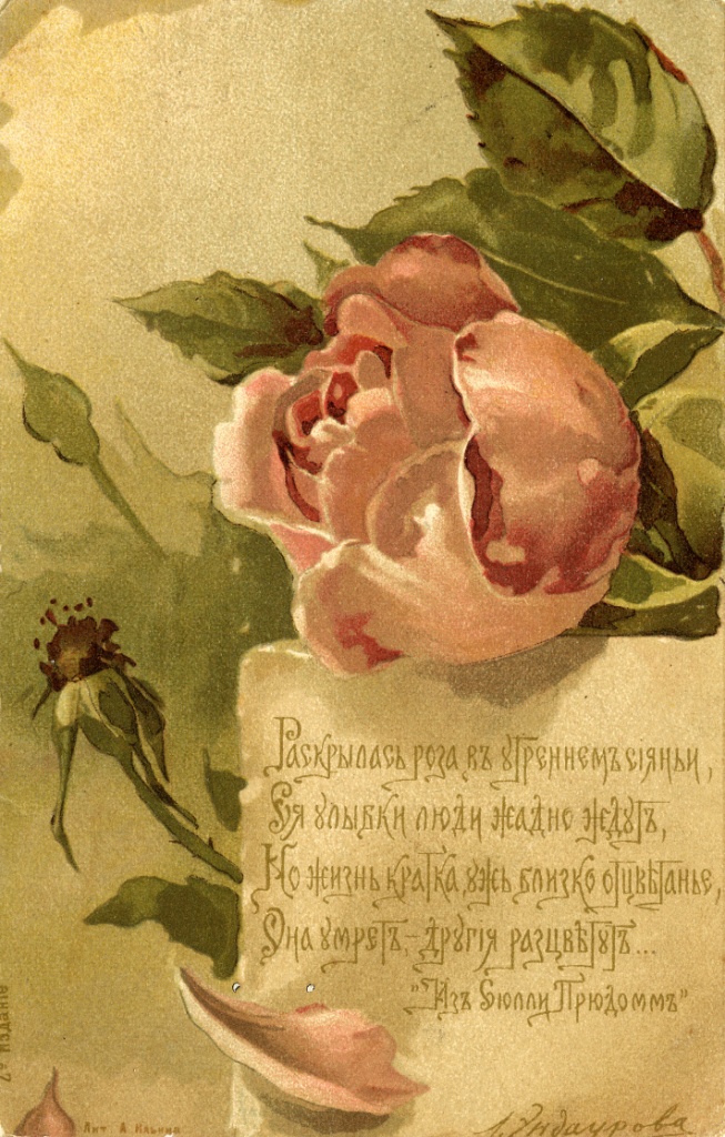 Эндаурова Любовь Меркурьевна. Раскрылась роза в утреннем сиянии...